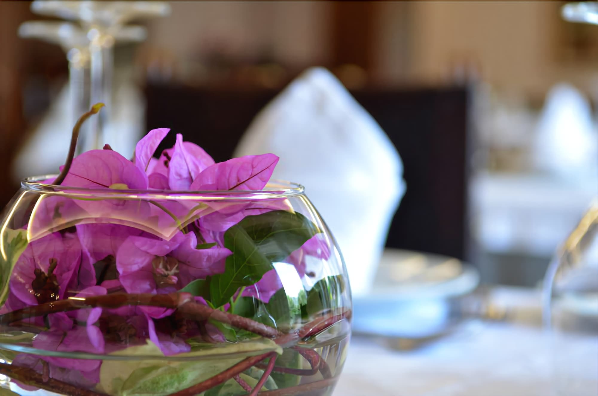 Hotel Sao Bento Da Porta Aberta & Spa Vườn quốc gia Peneda-Gerês Ngoại thất bức ảnh